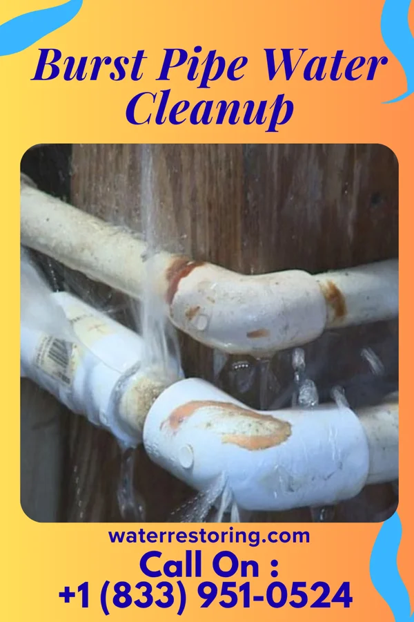 Burst Pipe Water Cleanup in Kokomo, IN