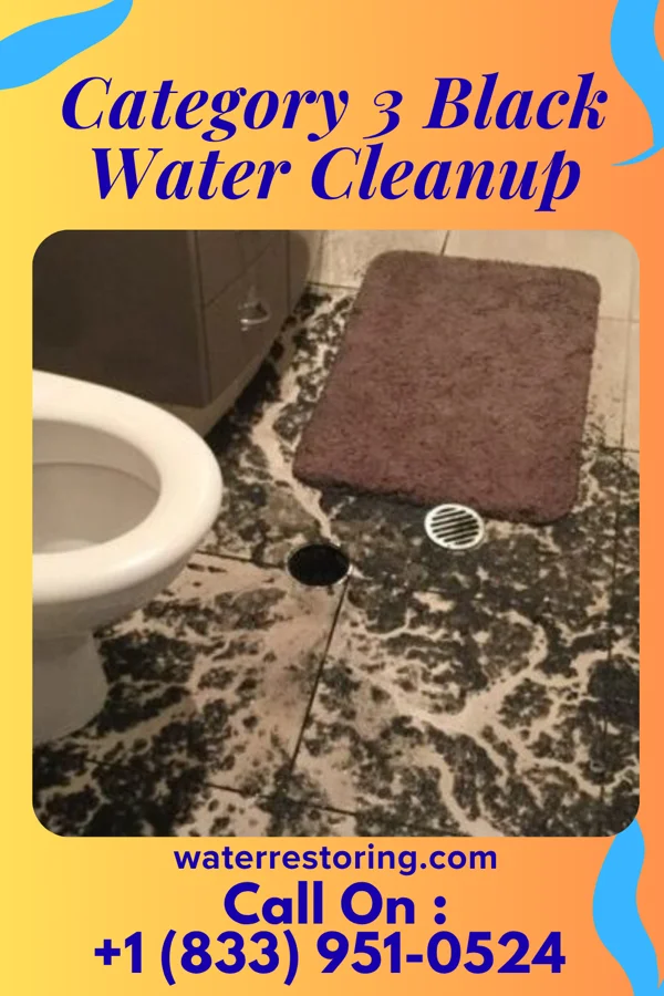 Category 3 Black Water Cleanup in Kokomo, IN